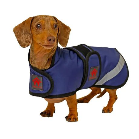 Blue firefoot outdoor dachshund coat with waterproof material black trim reflective stripe and fleecy lining navy