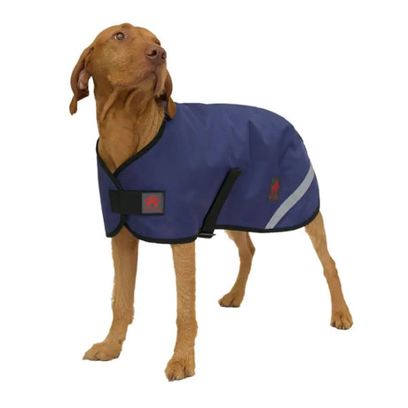 Navy blue firefoot outdoor dog coat with fleecy lining, black trim, and reflective silver stripe shown from back side