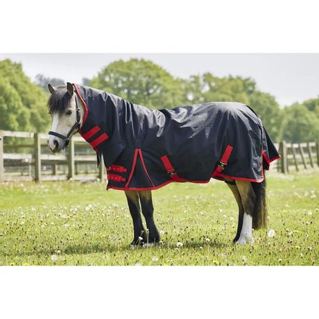 Navy blue firefoot pony rug fixed neck 100gm with red trim and adjustable straps in black red 100gm design