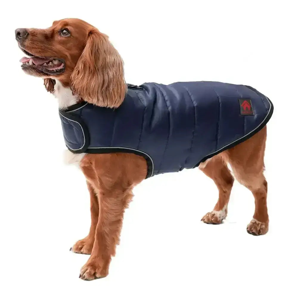 Navy blue quilted dog coat with black trim and small red firefoot quilted dog logo patch with zipped shoulder harness