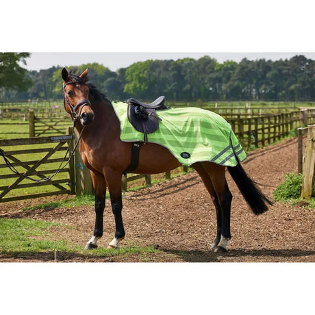 Bright green firefoot reflective exercise sheet with reflective stripes black saddle and bridle on brown horse