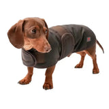 Dark gray waterproof waxed dachshund coat with reinforced stitching and small red logo patch firefoot waxed dachshund