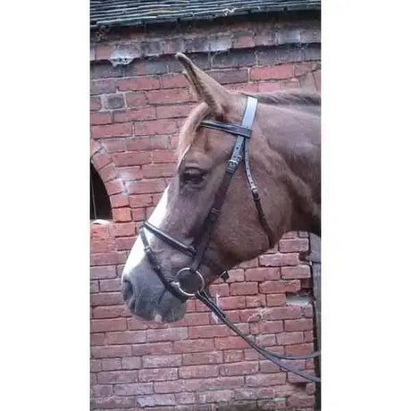Flash Bridle & Rubber Reins Havana Pony Saddlery Trade Services Bridles Barnstaple Equestrian Supplies