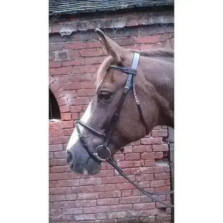Brown horse wearing a black leather flash bridle with silver hardware and rubber grip reins featuring a raised flash noseband