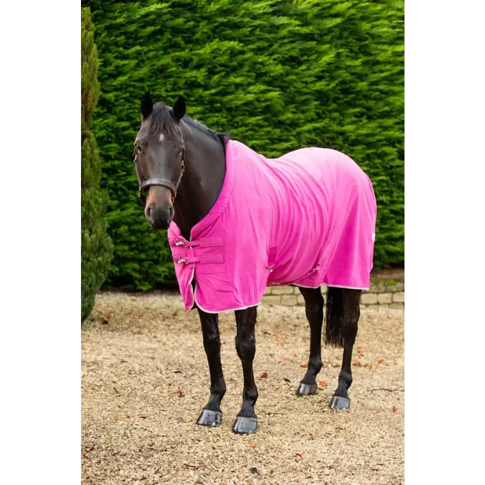 Swish Fleece Horse Rug - Mulberry 4'3 Fleece Rugs