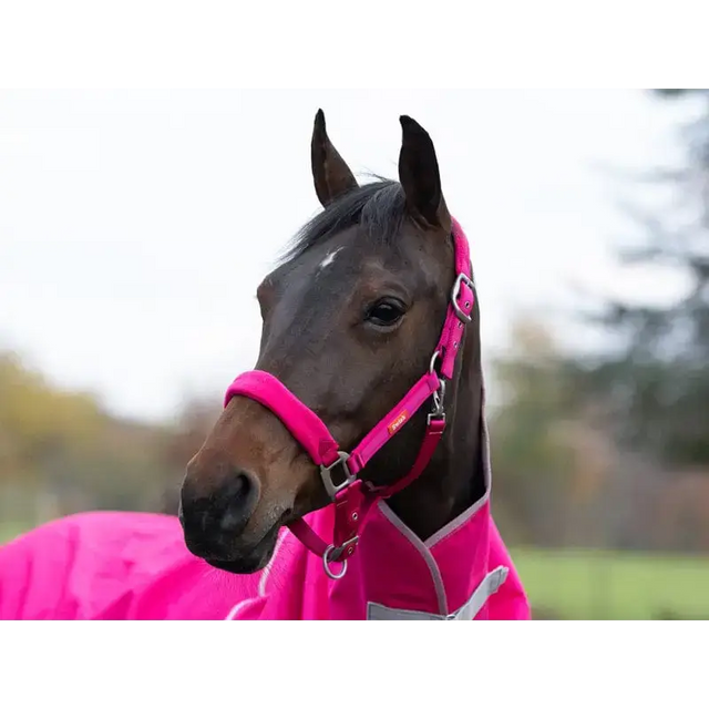 Swish Fleece Padded Head Collar - Pink Pony Headcollars