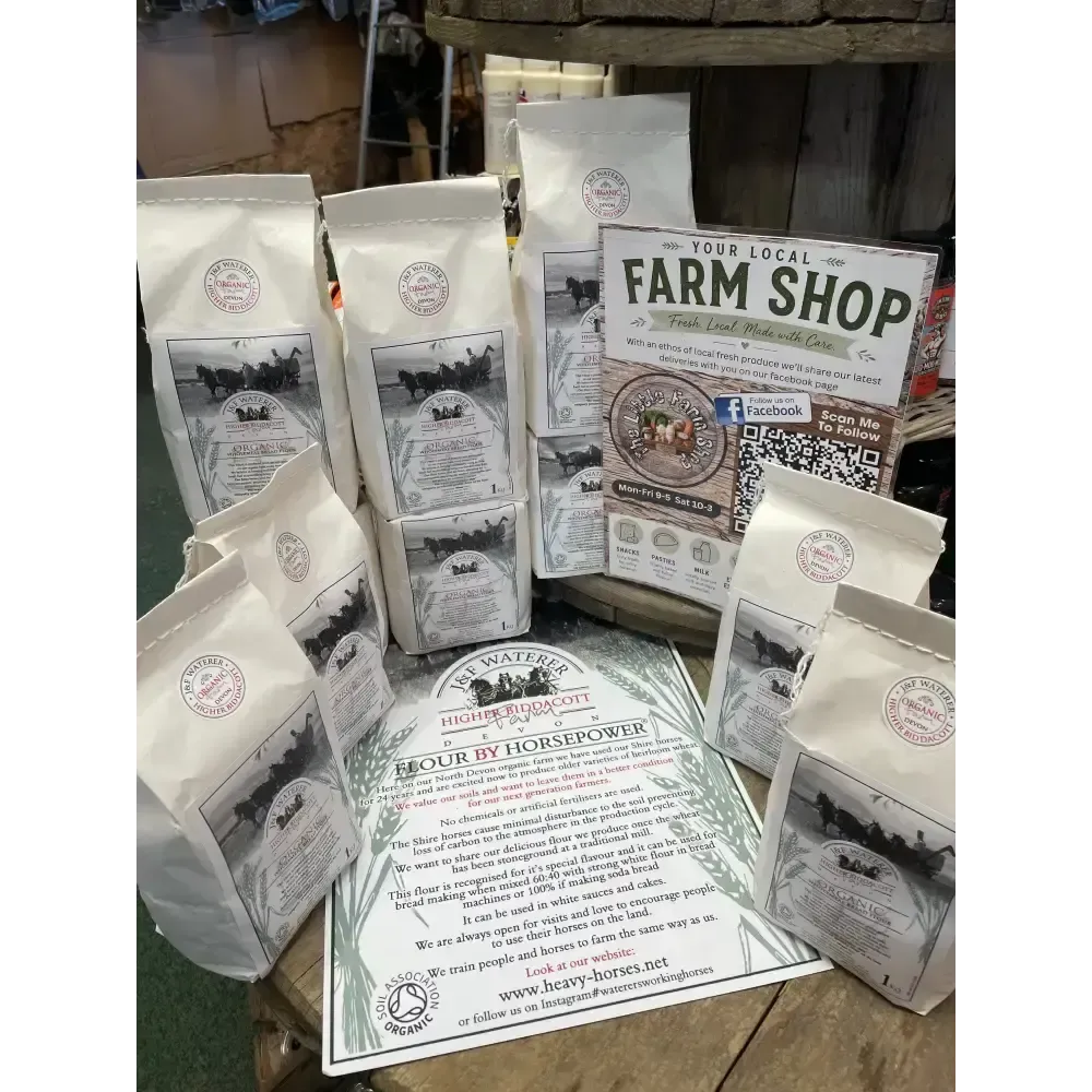 Flour By Horsepower Organic Ancient Grain Flour Household Products