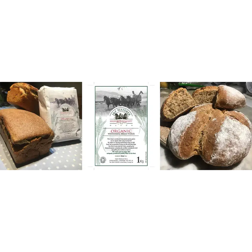 Flour By Horsepower Organic Ancient Grain Flour Household Products