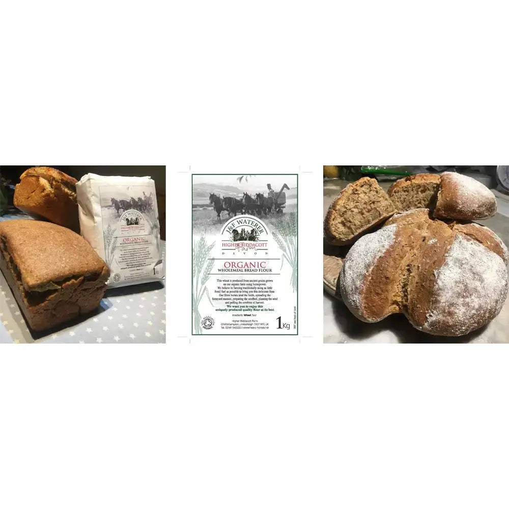 A white paper bag of is watertree horsepower organic ancient grain stoneground organic wholemeal bread flour