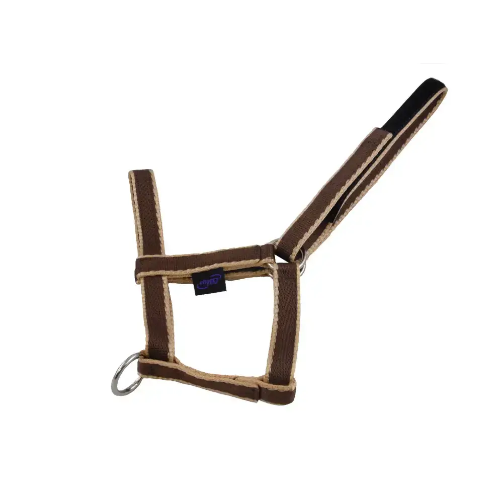 Foal Fieldsafe Headcollar Red Small 