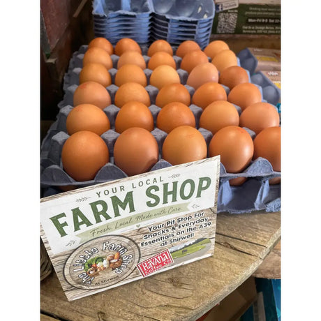 Brown free range mike’s eggs nestled in blue cardboard cartons at local farm shop for fresh hungry rider energy