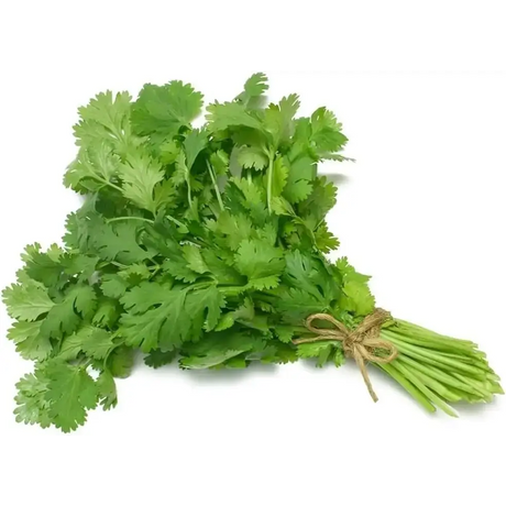 Fresh Coriander Box vegetables