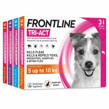 Frontline Tri-Act Small Dog 3 Pipette Flea Treatments