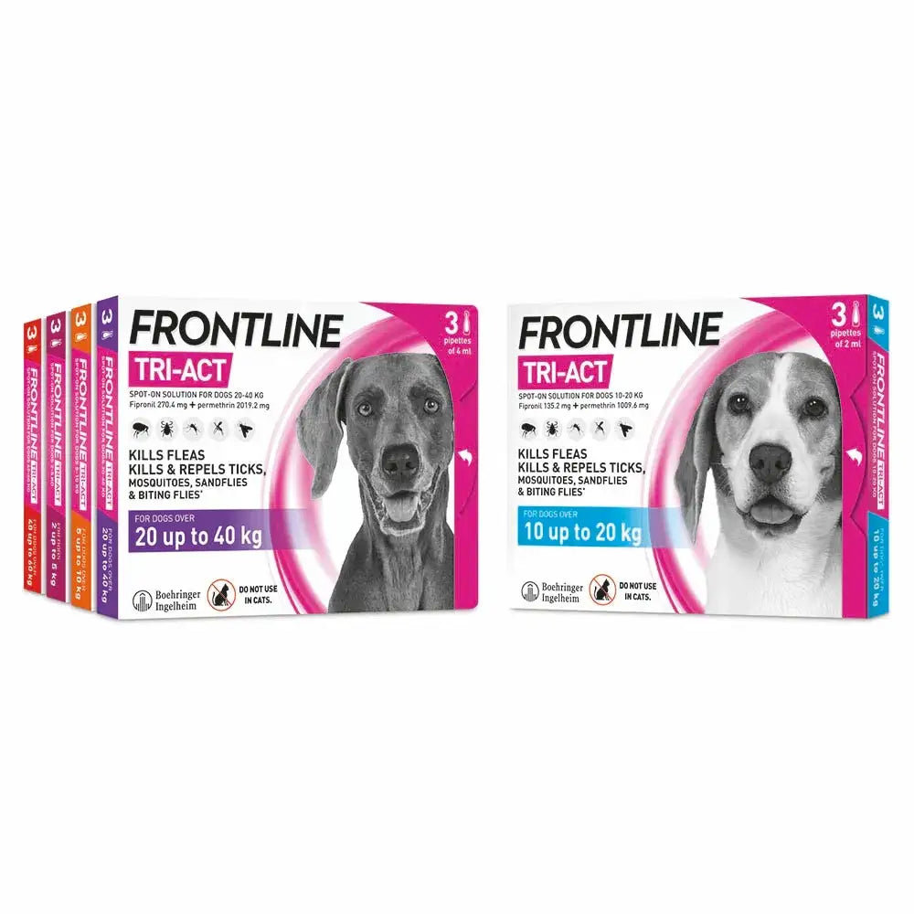 Pink and white frontline tri-act spot-on solution boxes for dogs with images of two breeds kills disease-carrying parasites fast