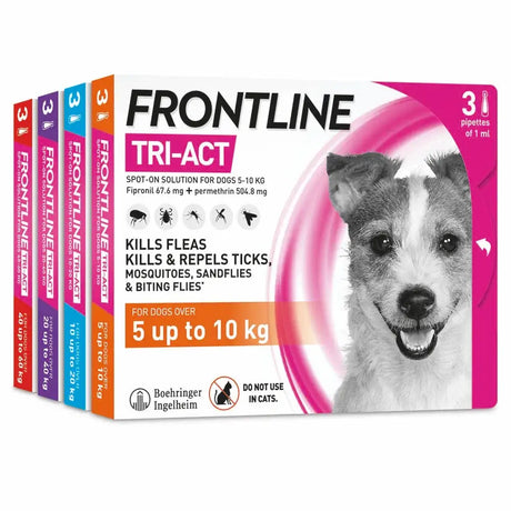 Frontline tri-act pink and white spot-on solution for dogs 5 to 10 kg kills faster disease-carrying parasites