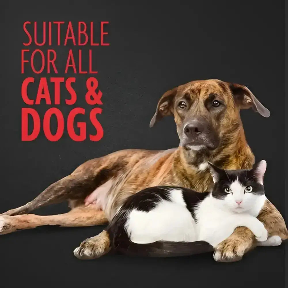 A brindle and white dog with a black and white cat resting together near the furminator pet hair remover hair collection tool