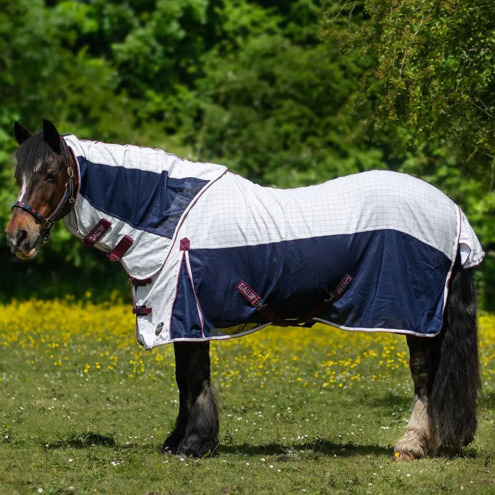 A navy and white checkered gallop air mesh detachable cooler turnout sheet with maroon accents and calypso logo