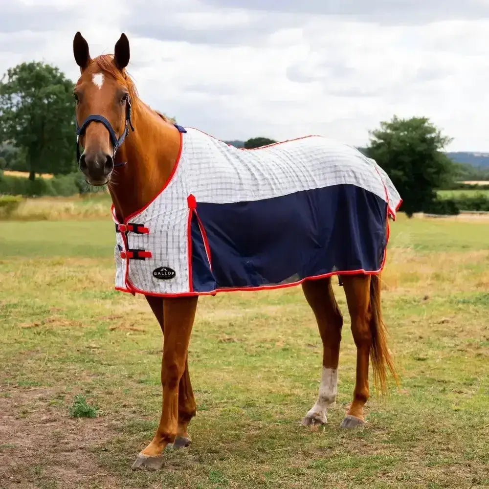 A gallop air-mesh summer sheet horse blanket in white and navy blue with red trim and black buckles for standard neck summer use