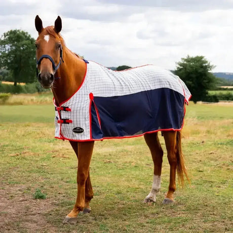 A gallop air-mesh summer sheet horse blanket in white and navy blue with red trim and black buckles for standard neck summer use