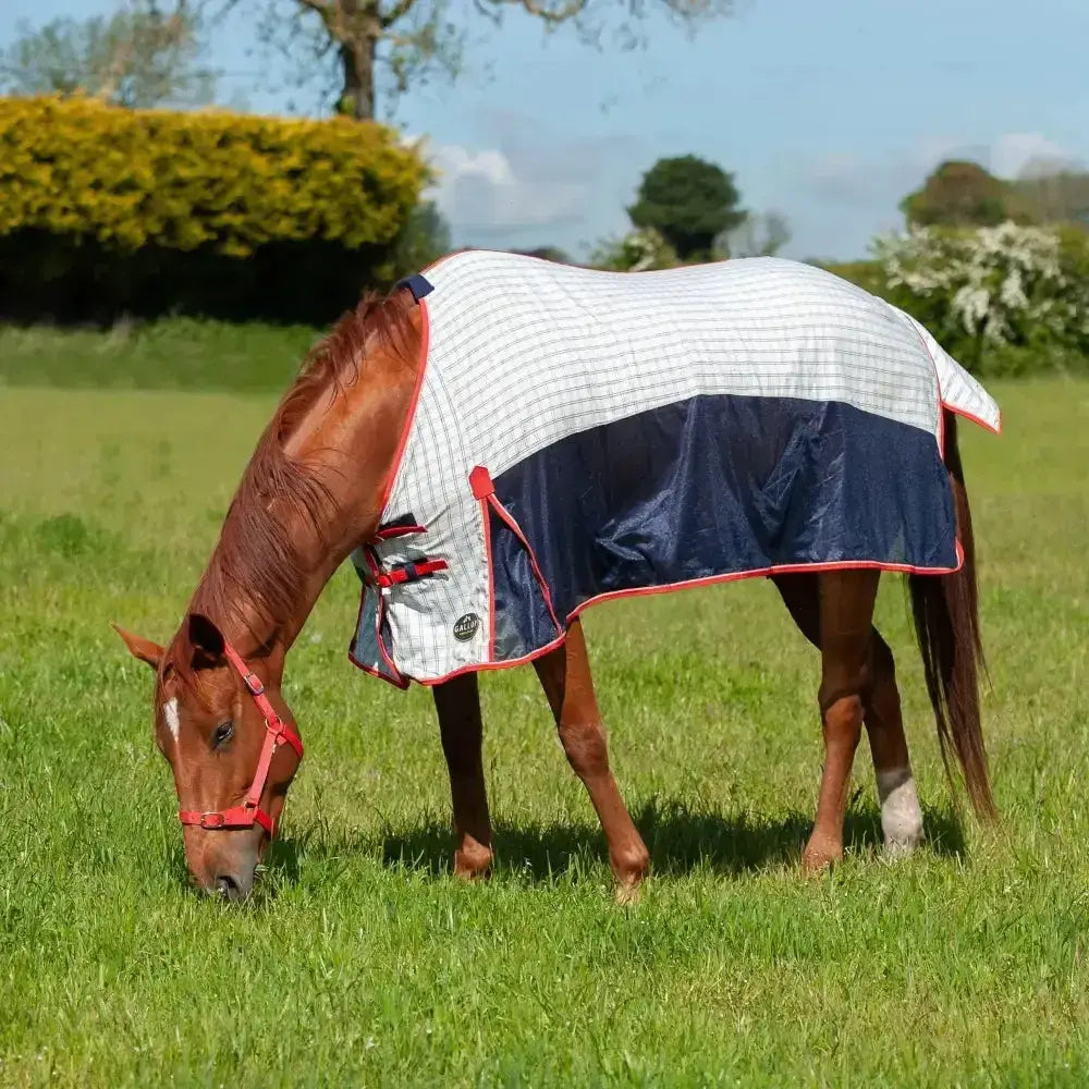 Gallop air-mesh summer sheet navy and white checkered horse blanket with red trim and durable fabric design