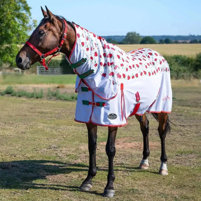 Gallop Berries & Cherries Combo Fly Rug 4'9 Fly Rugs Barnstaple Equestrian Supplies