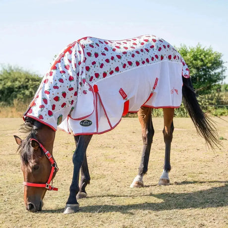 Gallop Berries & Cherries Combo Fly Rug 4'9 Fly Rugs Barnstaple Equestrian Supplies