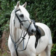 White horse wearing a black gallop breast plate martingale with fully adjustable neck straps and saddle