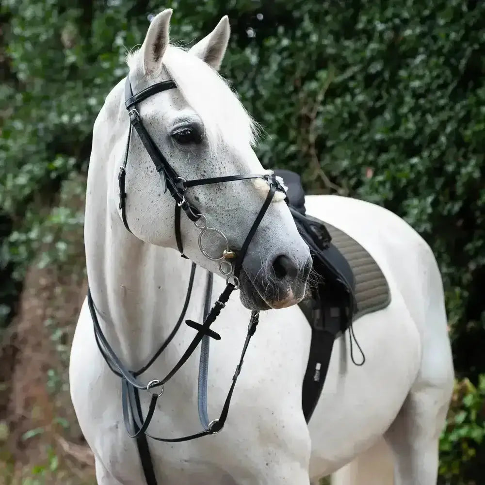 White horse wearing a black gallop breast plate martingale with fully adjustable neck straps and saddle
