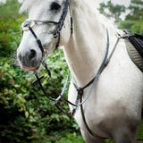 A white horse wearing a gallop breast plate martingale with fully adjustable neck straps in black leather with silver rings