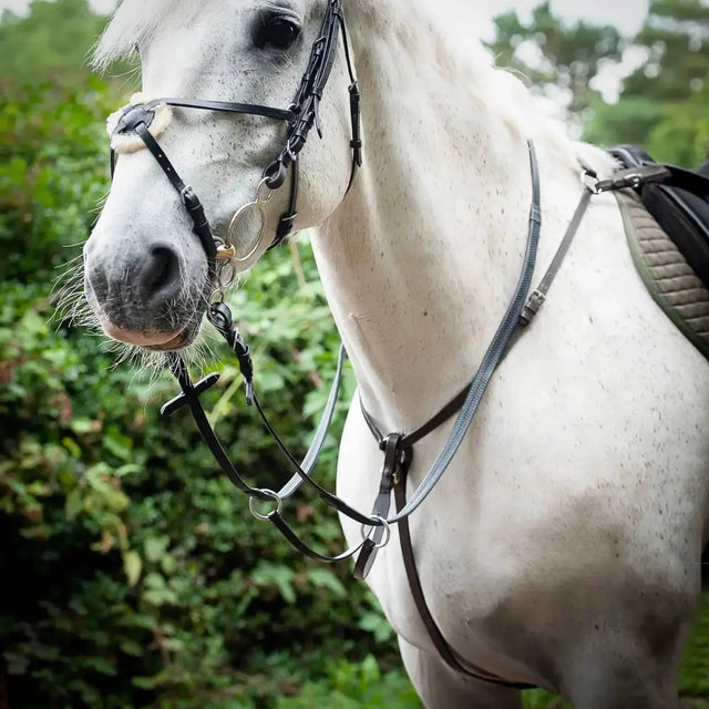 A white horse wearing a gallop breast plate martingale with fully adjustable neck straps in black leather with silver rings