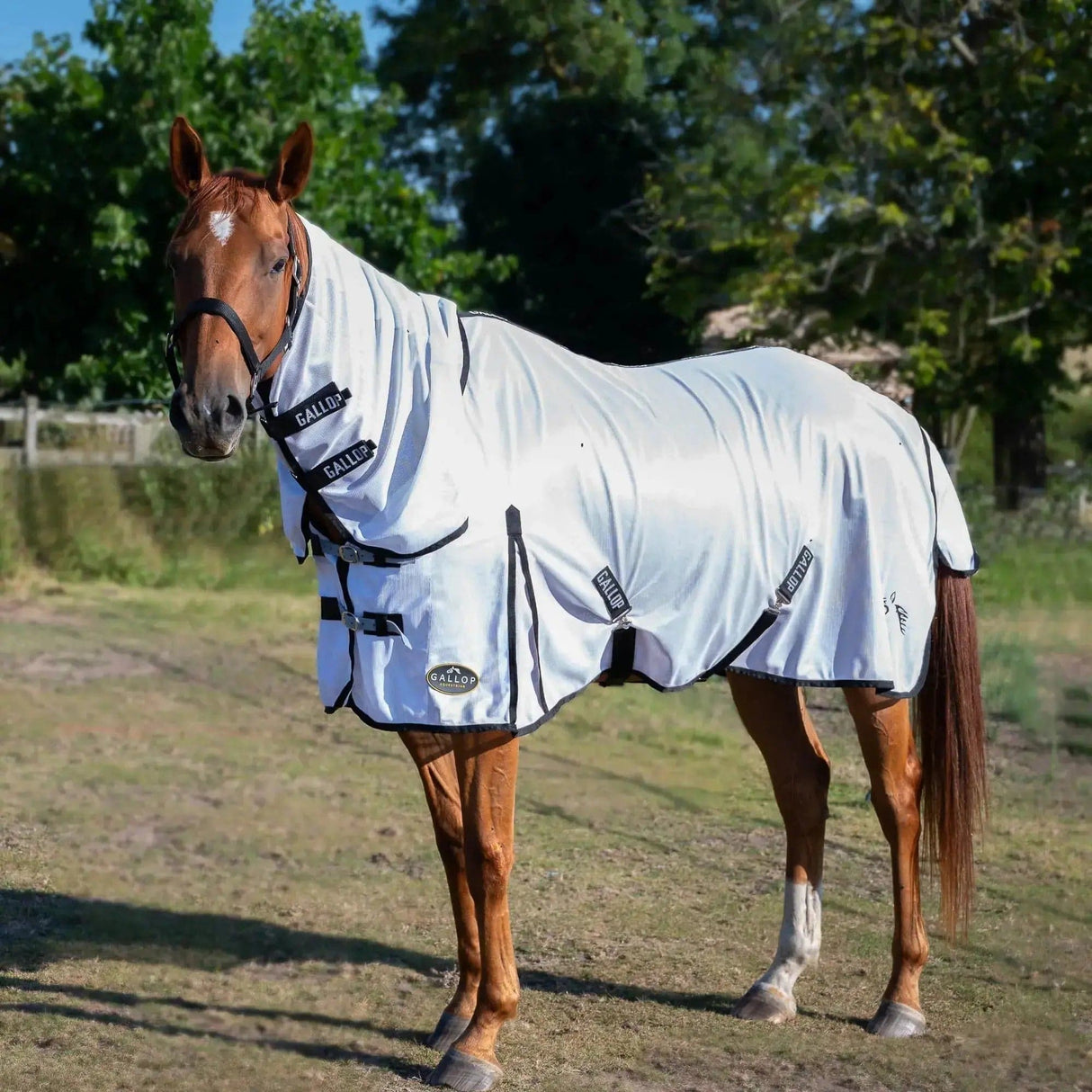 Gallop Classic Combo Fly Rug 4'6 Gallop Equestrian Fly Rugs Barnstaple Equestrian Supplies