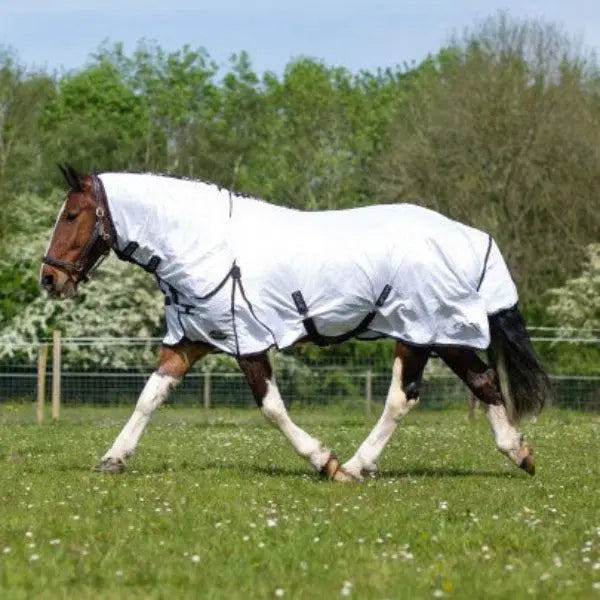 White horse fly sheet with black straps and reinforced stitching for equine protection gallop essential combo fly