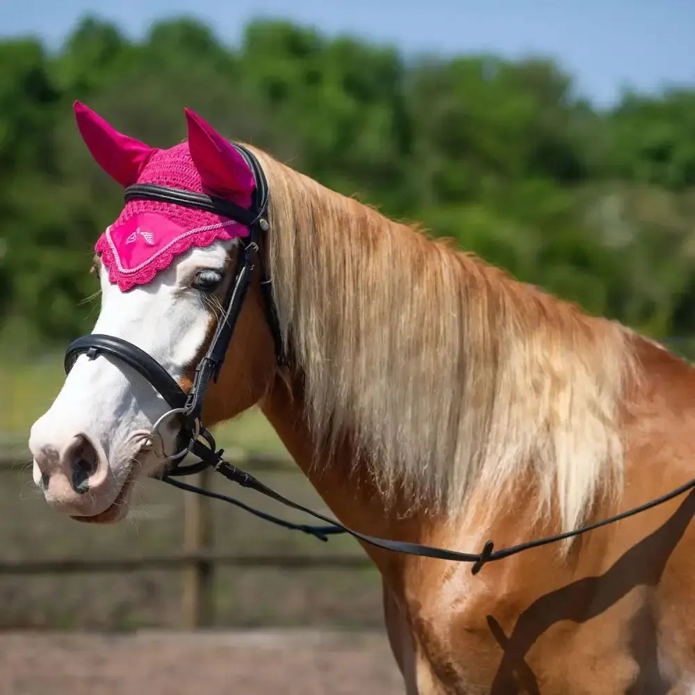 Gallop Classic Fly Veil Fuchsia Cob Fuchsia Fly Wear