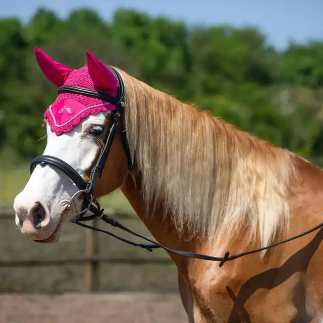 Gallop Classic Fly Veil Fuchsia Cob Fuchsia Fly Wear
