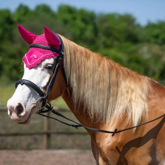 Vibrant pink crocheted gallop classic fly veil fuchsia with lace trim and embroidered logo for horse ears