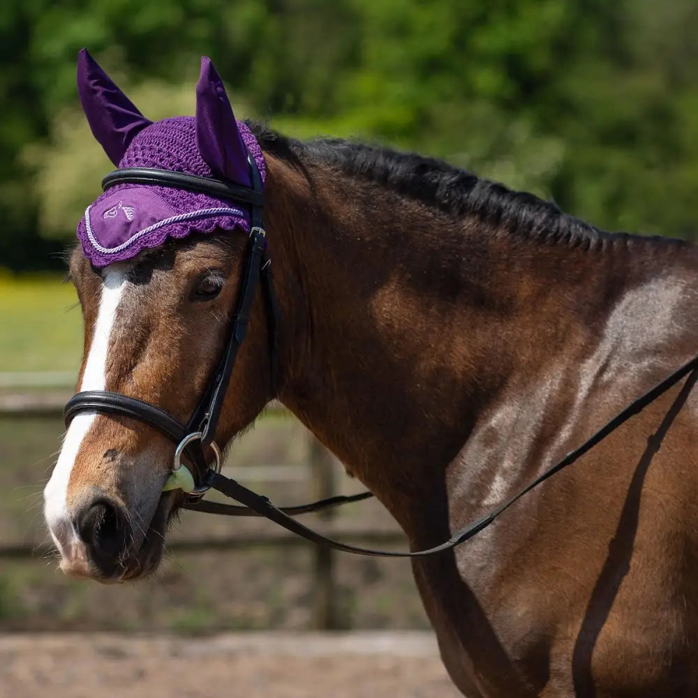 Purple knitted gallop classic fly ear cover with black straps and small embroidered logo for fly veil purple use
