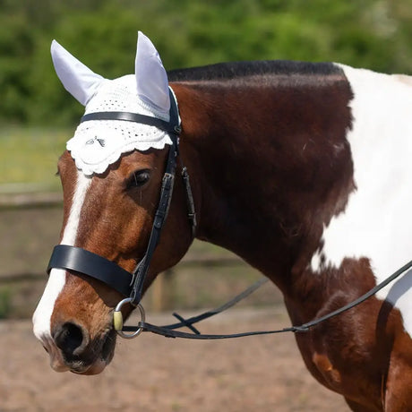 White lace gallop classic fly veil with black leather strap and embroidered logo fly veil white detail