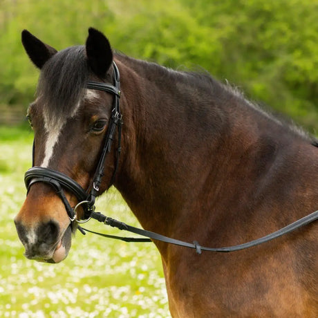 Black leather gallop comfort bridle with comfort headpiece crank noseband and white stripe down the face