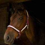 Gallop Diamante Padded Headcollar Burgundy Cob Headcollars Barnstaple Equestrian Supplies