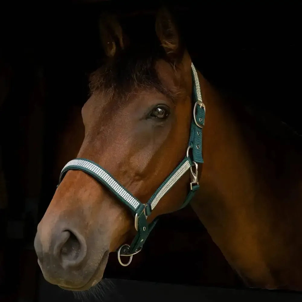 Gallop Diamante Padded Headcollar Green Cob Headcollars