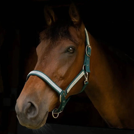 Gallop Diamante Padded Headcollar Green Cob Headcollars Barnstaple Equestrian Supplies