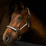 Gallop Diamante Padded Headcollar Black Cob Gallop Equestrian Headcollars & Leadropes Barnstaple Equestrian Supplies