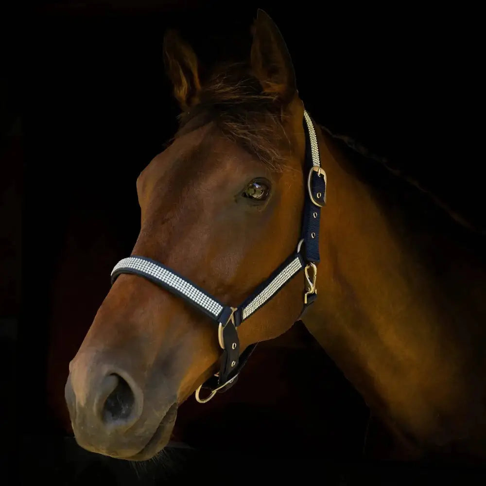 Gallop Diamante Padded Headcollar Navy Cob Headcollars Barnstaple Equestrian Supplies