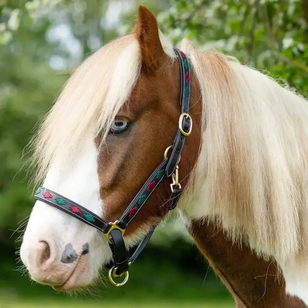 Gallop Diamond Padded Leather Headcollar Burgundy/Green Cob Burgundy/Green Headcollars & Lead Ropes