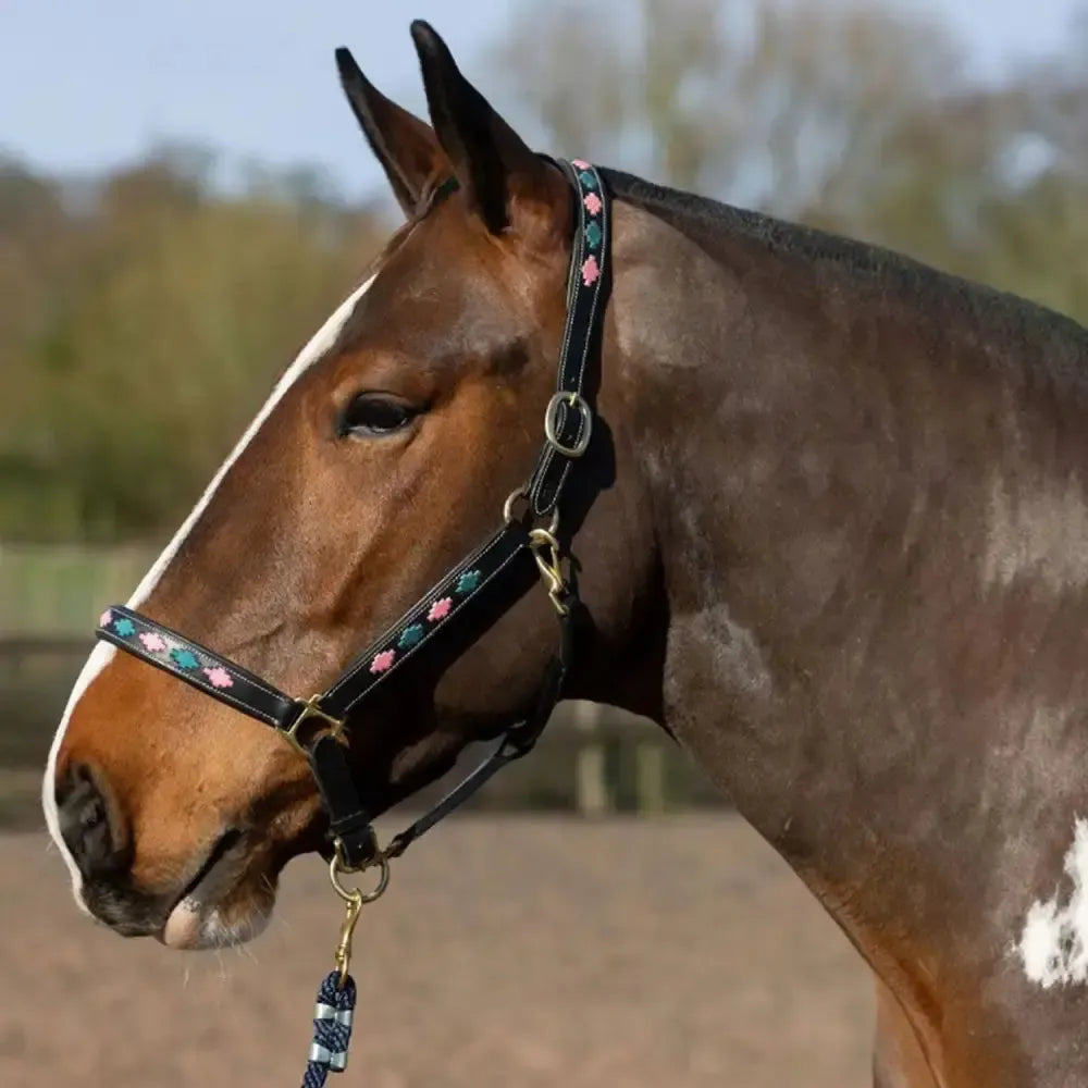 Gallop Diamond Padded Leather Headcollar Pink/Aqua Cob Pink/Aqua Headcollars & Lead Ropes