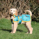 Turquoise gallop dogs print dog coat with yellow trim black accents and playful dachshund pattern for dogs