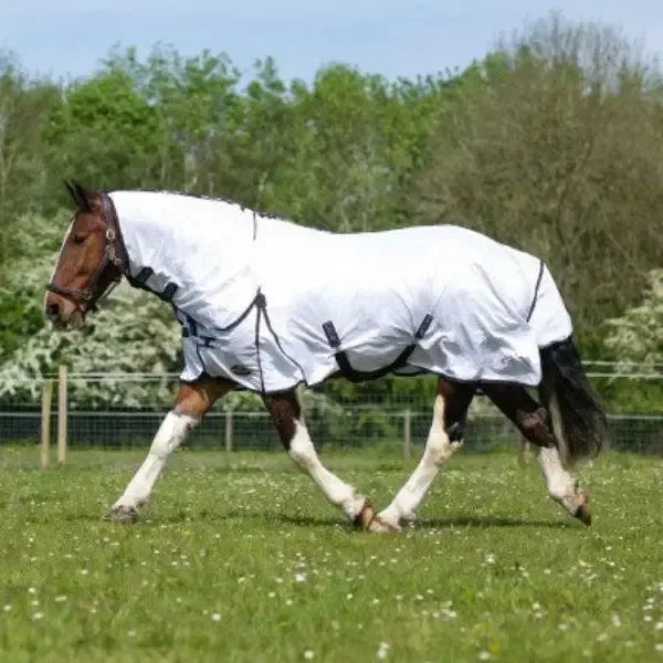 Gallop Essential Combo Fly Rug 5'6" Fly Rugs