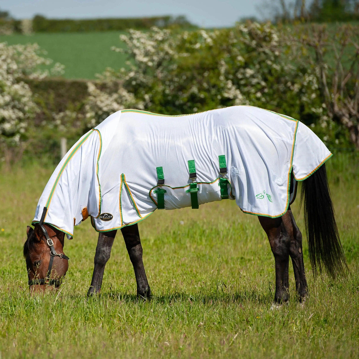 Gallop Fly Rug Mesh Combo 5'6" Gallop Equestrian Fly Rugs Barnstaple Equestrian Supplies