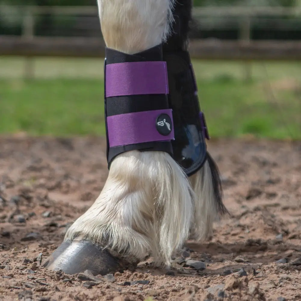 Purple and black gallop gp brushing boots with logo strap designed for equestrian hoof protection