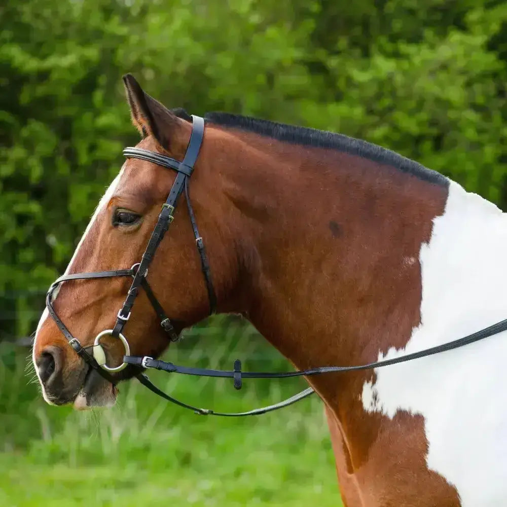 Black leather gallop grackle bridle with silver metal hardware and soft fur padding for comfortable riding